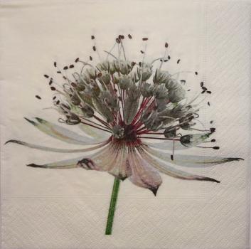 114 Flowers Others - 3 ply (114)